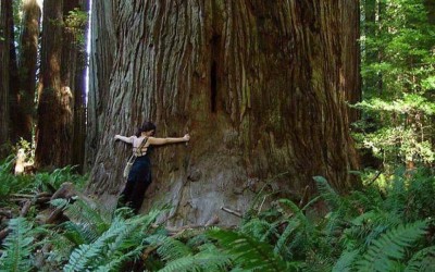 Świadomość tymczasowości przeżywanych głęboko uczuć. Opinia po sesji oddechowej